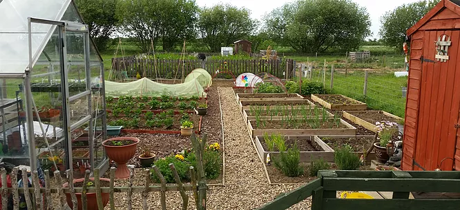 Allotments